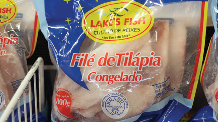 Filé de tilápia congelado